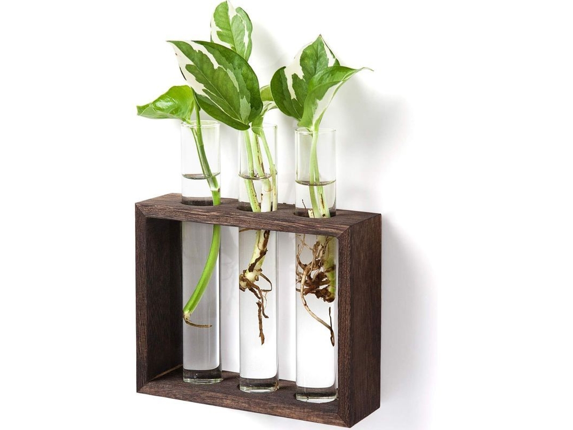 Maceta De Vidro Montada Na Parede Com Suporte De Madeira Maceta Moderna Para Plantas E Flores