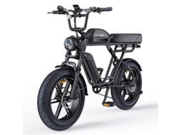 Bicicleta Elétrica Engwe M1 Para Adultos, 250w, Bateria Dupla, Autonomia De 170km, Pneu Largo De 20", Banco Duplo