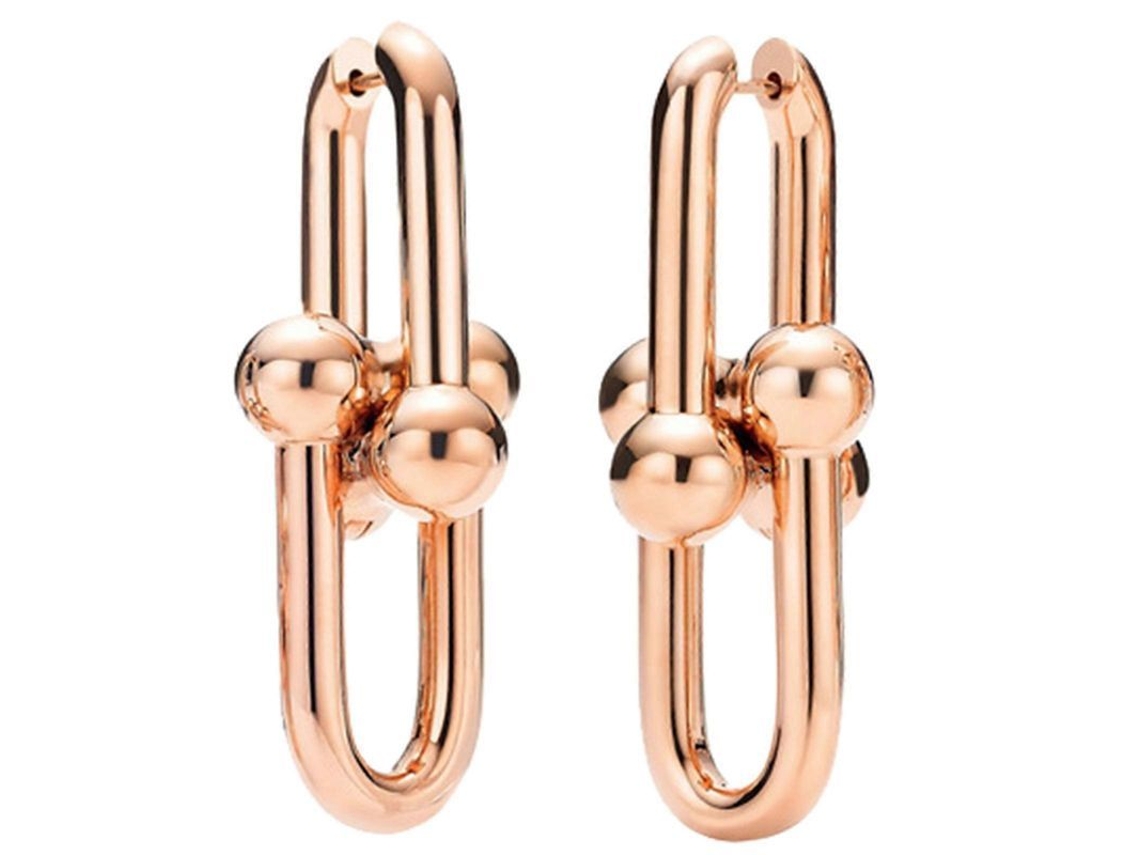 _brincos em Forma de Ferradura Elegantes Versáteis Aprimoram Seu Estilo Fashion