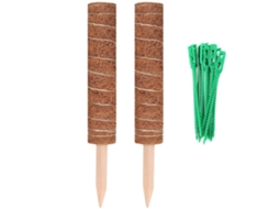 2 Polos De Musgo Para Planta De Queijo Com 20 Laços