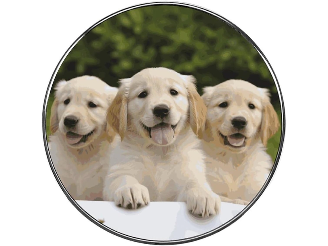 Filhotes De Golden Retriever Ímãs Geladeira Personalizados Em Liga Metálica, Ímãs Requintados Para Quadro Branco