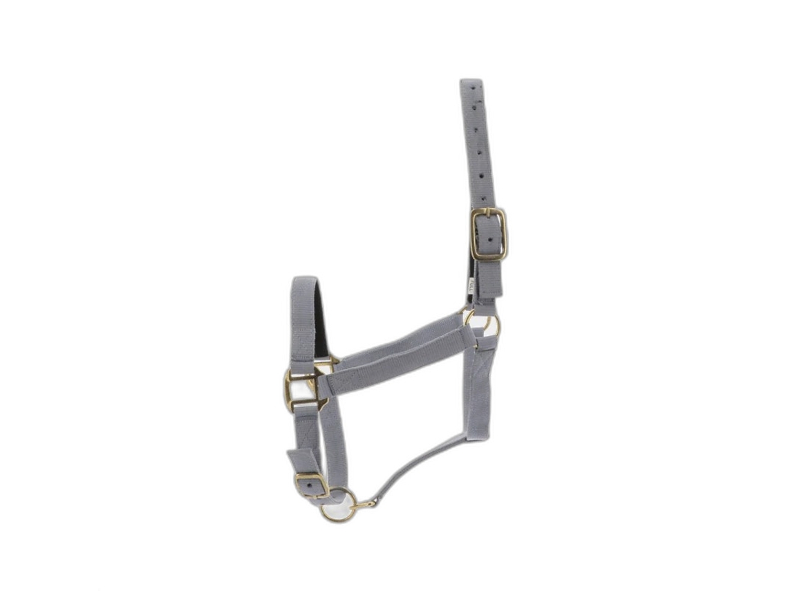 Halter Norton Doublé cuir