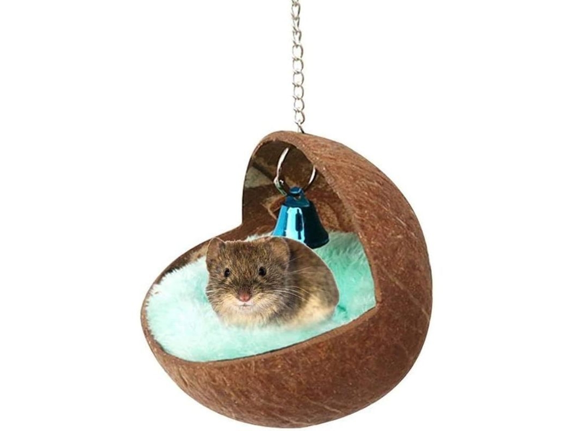 Ninho de coco suspenso com tapete e sino para pequenos animais