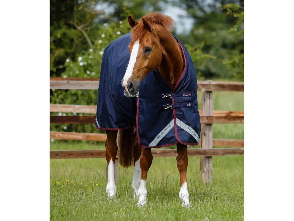 Manta para Cavalos Ao Ar Livre PREMIER EQUINE Titan 200 gOriginal