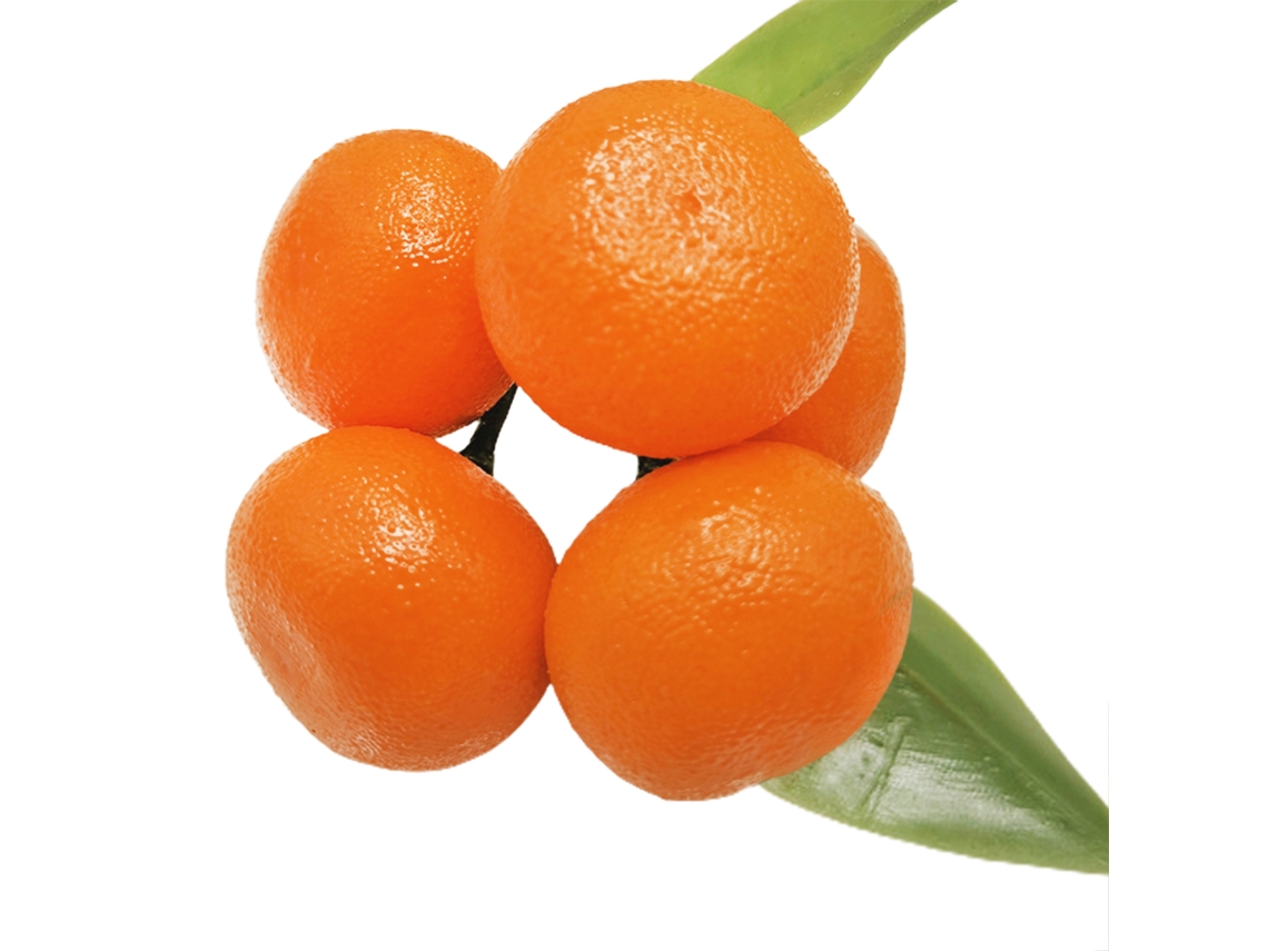 Espuma de Laranja com Açúcar 3,5cm diâmetro 9cm comprimento LAXISCREED