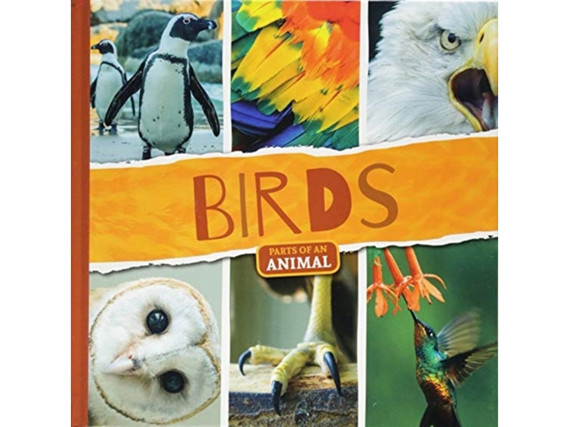 Livro Birds de Joanna Brundle (Inglês - Capa Dura)