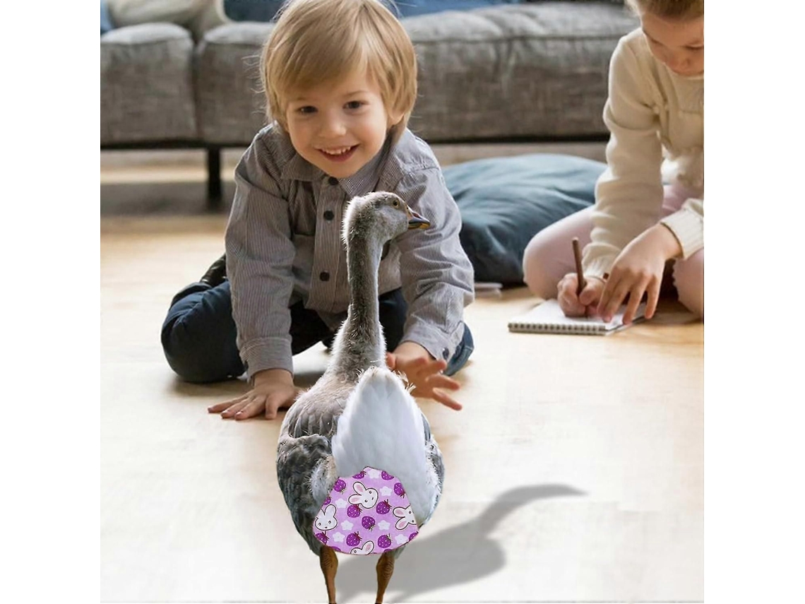 Fraldas Para Galinhas E Patos De Estimação