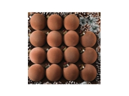 Conjunto De 15 Bolas De Natal Em Veludo De 8 Cm, Com Acabamento Aveludado, Para Decoração De Árvore De Natal. Igvtrade