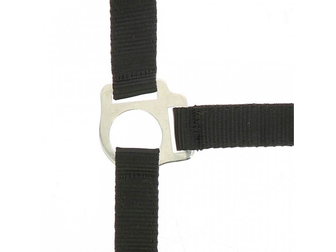 Halter Riding World Club