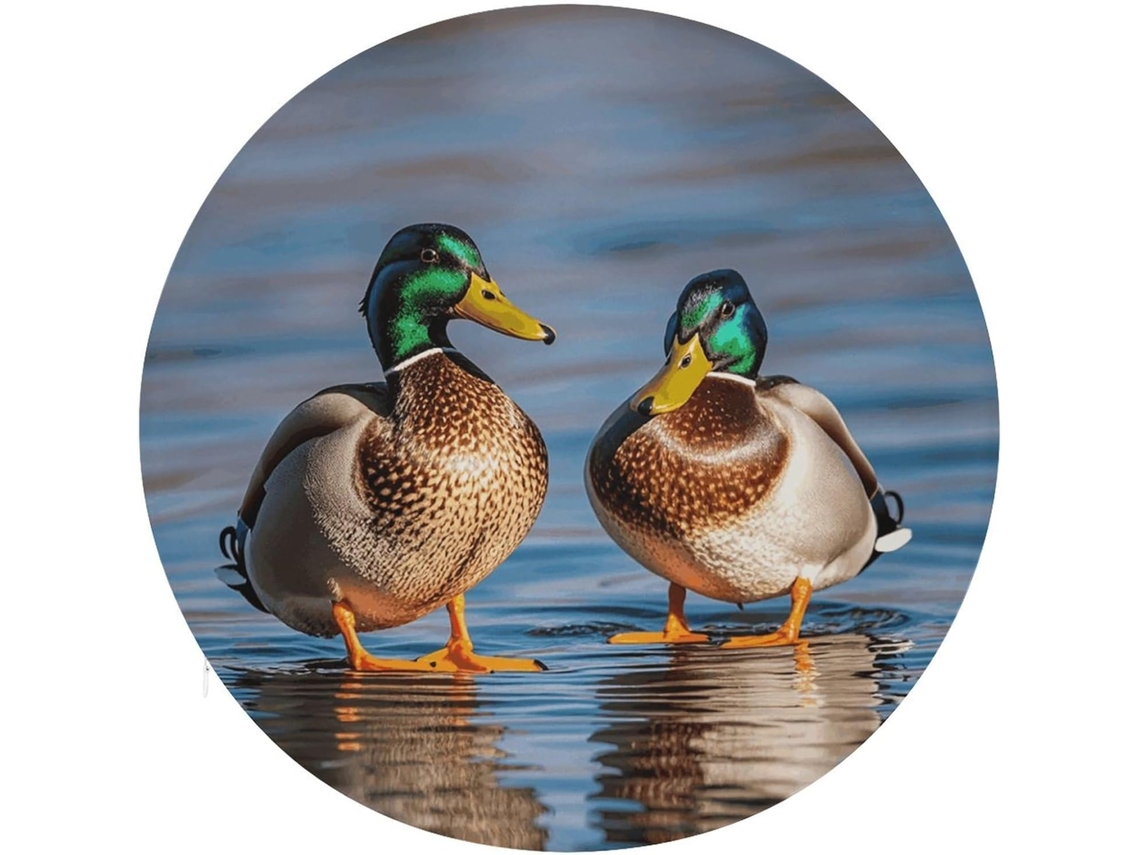 Almofada Redonda Para Cadeira Com Estampa De Dois Patos, Almofada Redonda De Algodão Viscoelástico, Almofada Grossa E