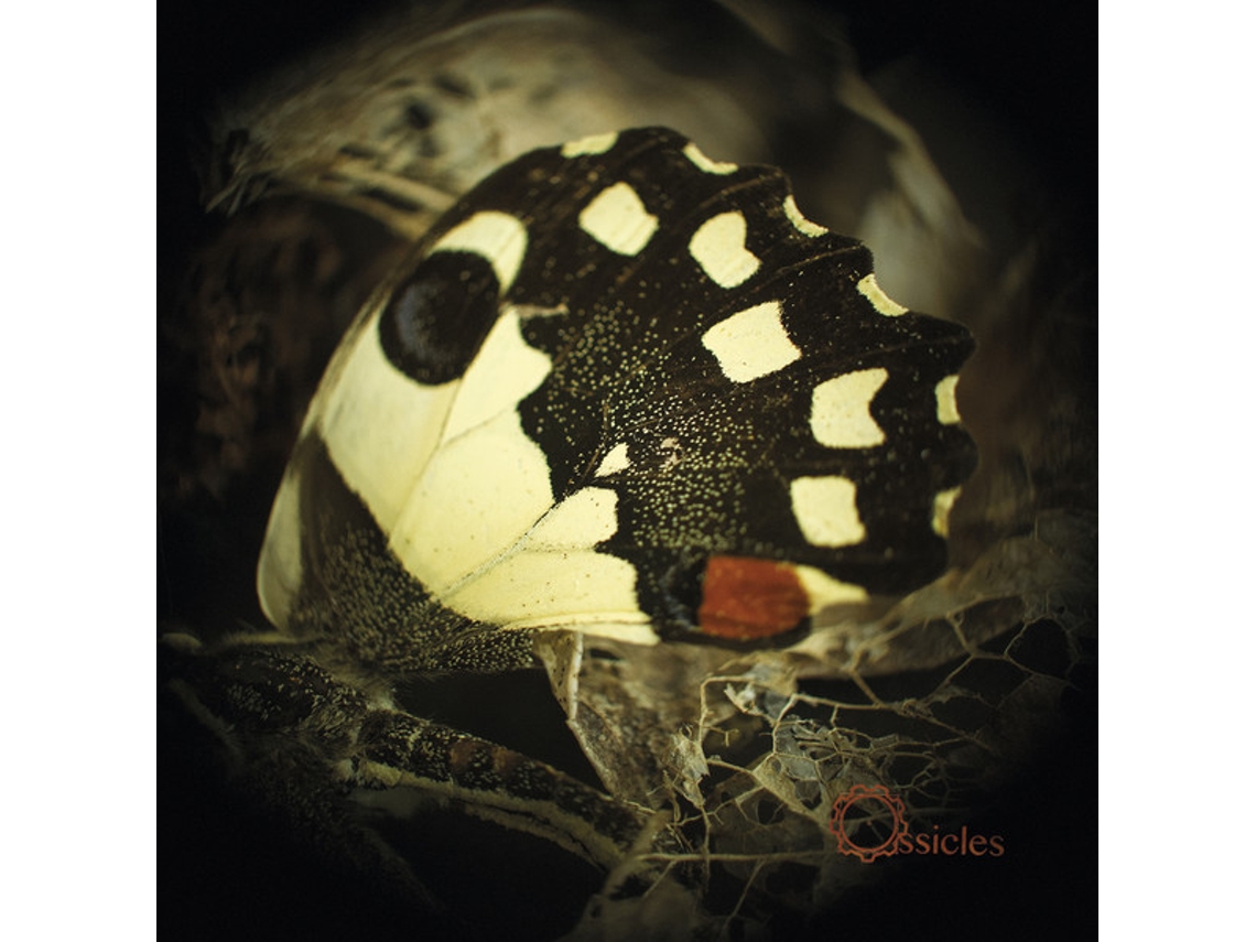 Vinil Ossicles - Music For Wastelands