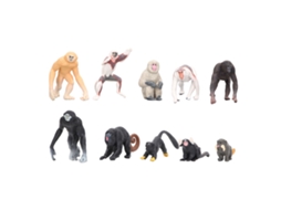 Mali 10pcs Conjunto de Modelos de Primatas Macaco Gibão Orangotango Lemur Ornamentos de Plástico