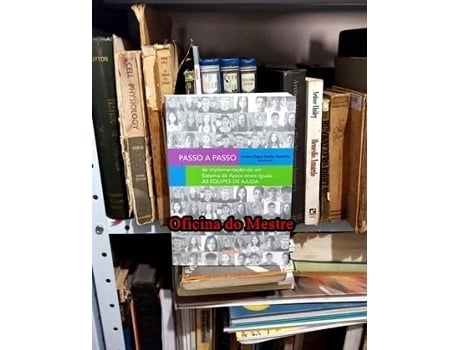 Livro Passo A Passo Da Implementação De Um Sistema De Apoio Entre Iguais As Equipes De Ajuda De Luciene Regina Paulino (português Do Brasil)