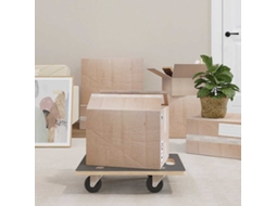 Vidaxl Carrinhos De Transporte 2 Pcs Retangular 50x35x11,5 Cm 250 Kg