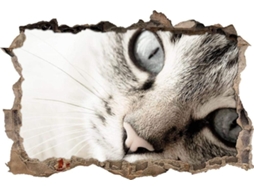 Adesivos Muraux Merveilleux Yeux De Chat Autocollant Adesivo Mural Para Salão De Beleza Chambre Cuisine Bureau Adulto Enfant 70x110cm