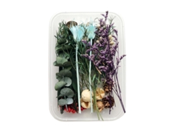 Pack de 10 Flores Preservadas Rosa Verde LAXISCREED