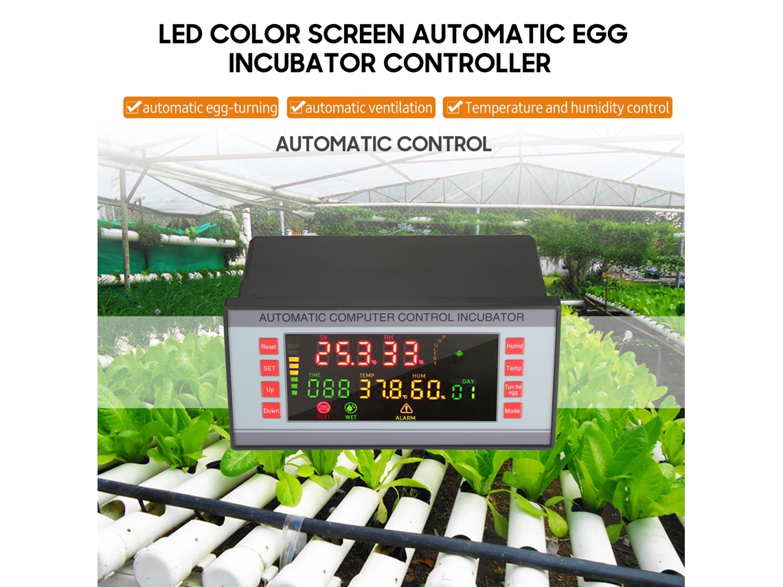 Controlador de Incubadora Automática com Tela Led Colorida para Ovos de Aves com 5 Modos de Incubação
