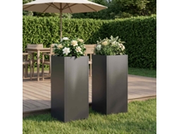 Vidaxl Vaso De Jardim 2 Unid. Preto 20 X 20 X 40 Cm