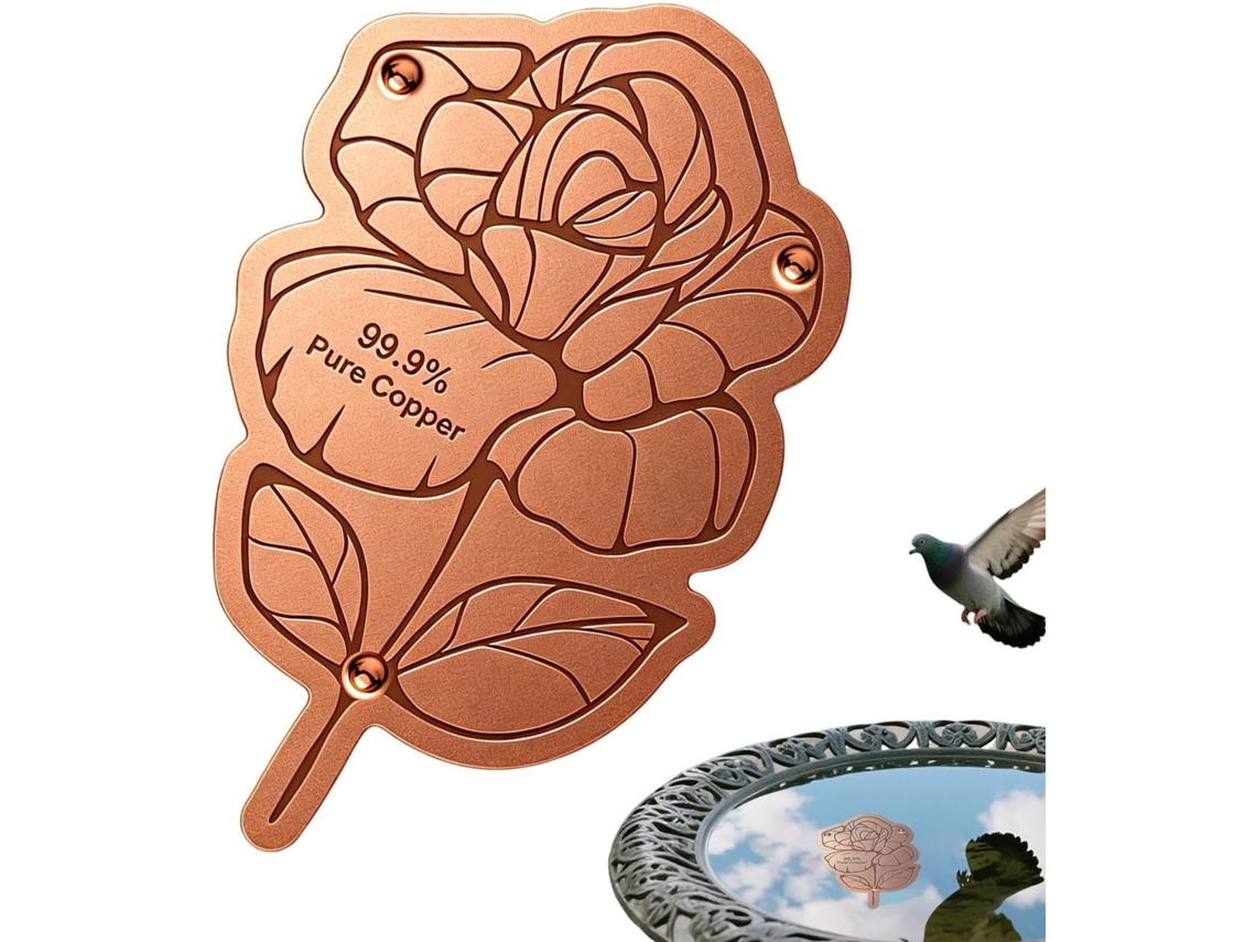 Disco de Cobre Genérico para Bebedouros de Pássaros Encaixe Universal, Suporte Triplamente Reforçado e Disco de Limpeza CHABERLU