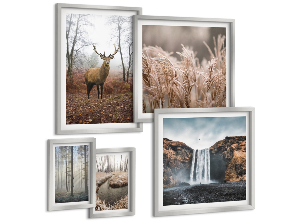 Composição De Quadros Na Parede Lírios No Jardim, Flores Coloridas Moldura Prateada Quadros Para A Sala De Estar Espelharte (conjunto De 5 Imagens)