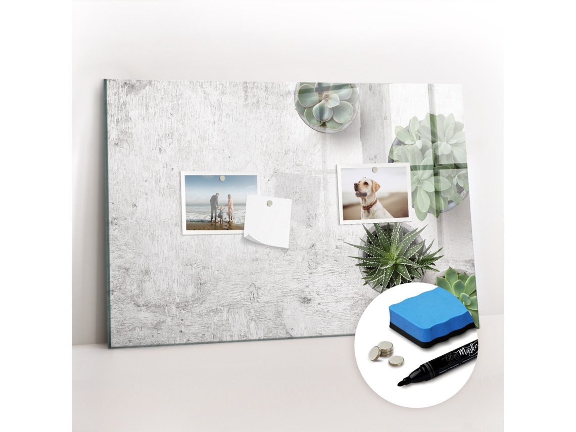 Quadro Magnético Colorido Plantas Decorativas Para A Sala De Estar Espelharte (60x40 Cm)