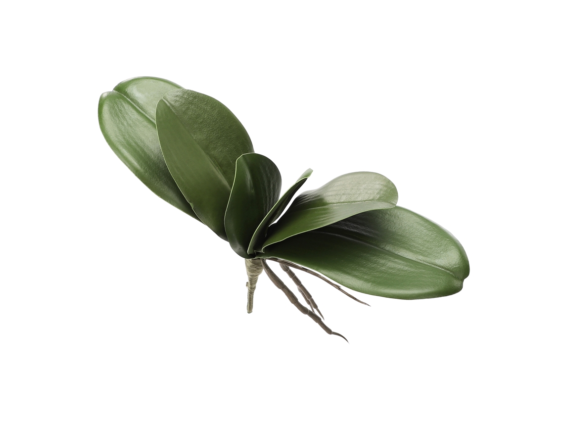 Laxiscreed Conjunto De 6 Folhas De Orquídea Phalaenopsis Para Decoração De Casamento E Casa Artificial