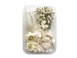 Laxiscreed 10 Peças De Flores Preservadas Brancas Para Velas Aromáticas E Artesanato Floral