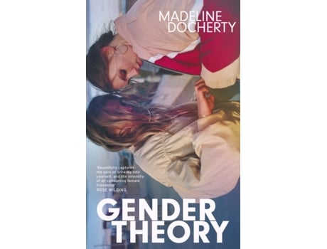 Livro Gender Theory de Madeline Docherty (Inglês)