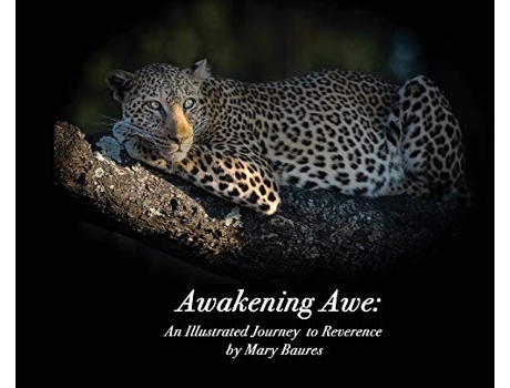 Livro Awakening Awe An Illustrated Journey to Reverence de Mary Baures (Inglês)