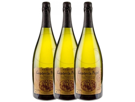 Espumante VINS I CAVES BLANCHER Vins I Caves Blancher Capdevila Pujol Brut Nature Cava Reserva  (1.5 L - 3 unidades)