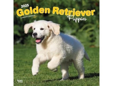 Livro 2025 Plastic-Free Golden Retriever Puppies Calendar de Browntrout (Inglês)