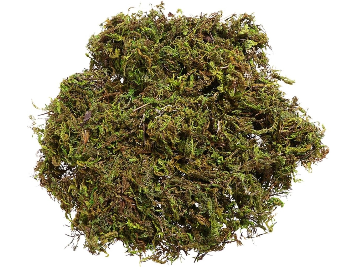 Kit Com 12 Plantas Artificiais De Musgo Para Vasos De Jardim, Plantas Verdes Artificiais E Ornamento Gokoco
