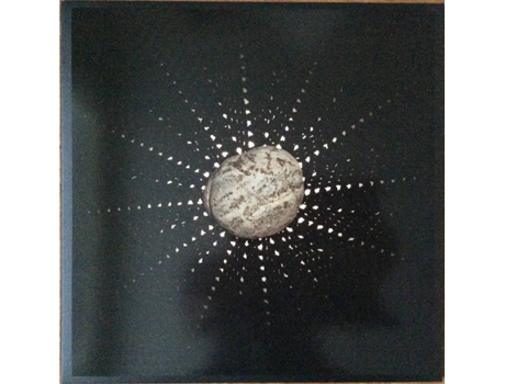 Vinil LP Nat Baldwin - In The Hollows