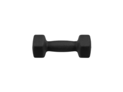 Halteres de Fitness PUNCH