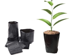 100 Bolsas de Plástico Gruesas para Plantas 24*31cm Negro com Retenção de Água S/MARCA