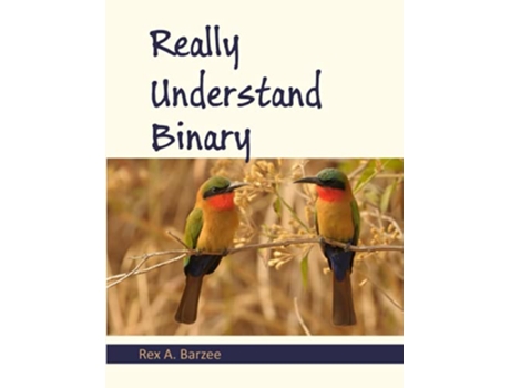 Livro Really Understand Binary de Rex A Barzee (Inglês)