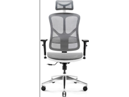 Cadeira Gamer Básica Diablo V Branca E Cinza Dcr