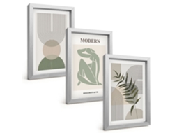 Um Conjunto De Imagens Decorativas Em Uma Molduragráficos Elegantes De Plantas Moldura Prateada Pinturas De Quarto Espelharte (3 Peças 20x30 Cm)