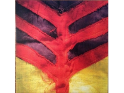 Vinil Yeah Yeah Yeahs - Show Your Bones