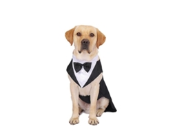Rebe-suit Smoking Para Cães Com Gravata E Bandana Festas Casamentos Halloween Tamanho S-xxl S