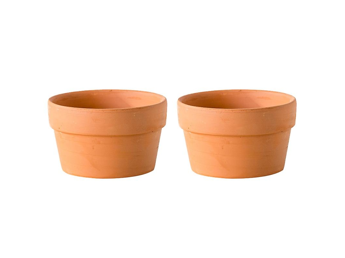2 Unidades de Pote de Terracota ALLINLESS