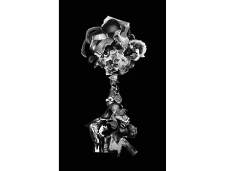 Livro Rarities amp Wonders Plays de Phillip Howze (Inglês)