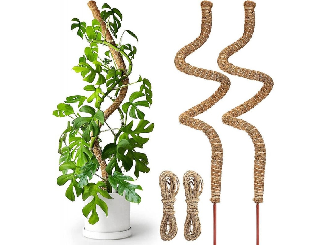 Palo De Musgo Flexível Para Plantas Trepadeiras 24 Polegadas Estacas Para Monstera Interior