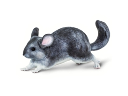 SAFARI Chinchilla