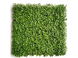 Parede Vegetal Artificial Modelo Verde 50 X 50 Cm Verde TRENDYFLAIR