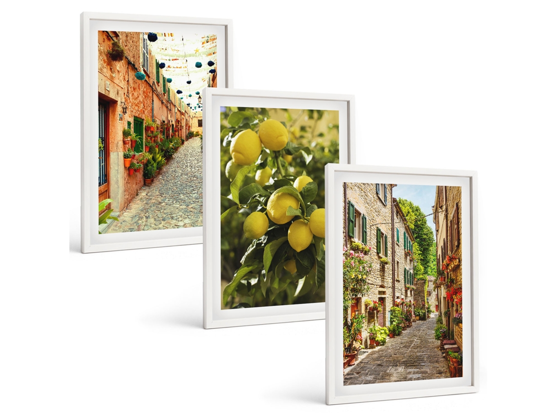 Conjunto De Pinturas Ruas Com Flores E Limão Espelharte (3 Peças 40x60 Cm)