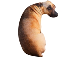 Cachorro De Pelúcia Infantil, Boneco 3d Macio E