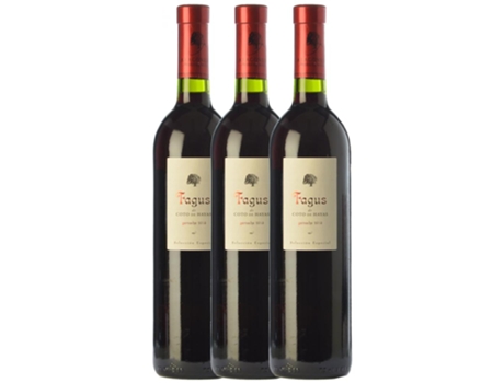 Vinho BODEGAS ARAGONESAS Bodegas Aragonesas Fagus De Coto De Hayas Selección Especial Grenache Campo De Borja Crianza (0.75 L - 3 unidades)