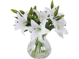 Flores Artificiais, 5 Unidades de Lírios Artificiais de Látex AQUAFORGE