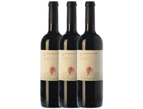 Virgen de la Asunción El Corazón de la Tierra Tempranillo Ribera del Duero Crianza 75 cl (Caixa de 3 unidades)
